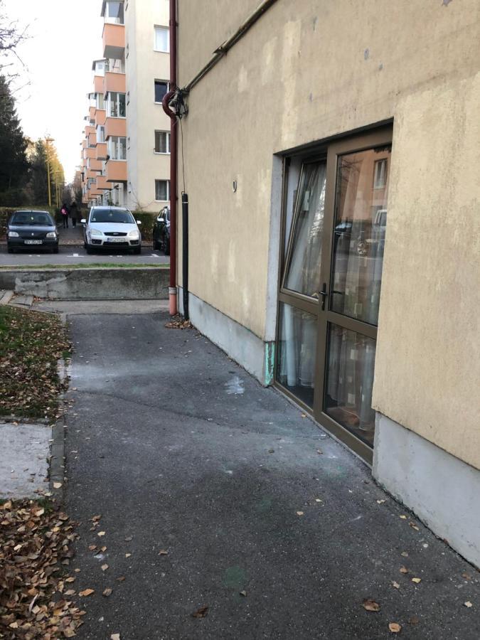 Gaby 2 Daire Braşov Dış mekan fotoğraf